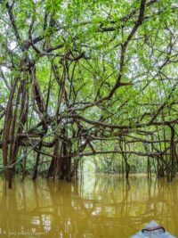 SUPiMATK AMAZONAS