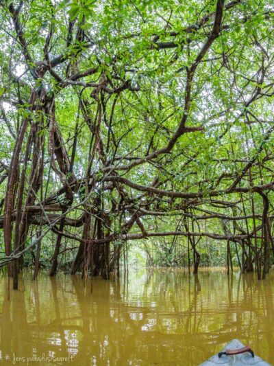 SUPiMATK AMAZONAS