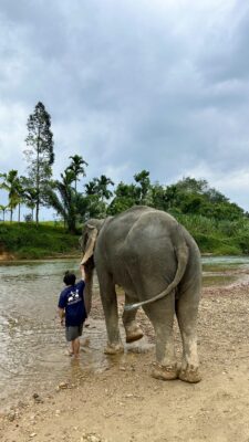 Khao Soki džunglitripp