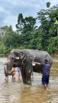 Khao Soki džunglitripp