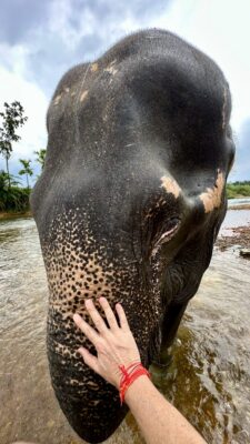 Khao Soki džunglitripp