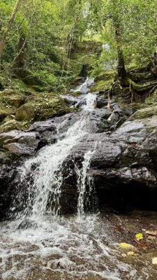 Khao Soki džunglitripp