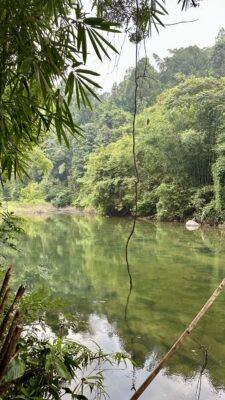 Khao Soki džunglitripp