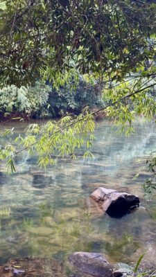 Khao Soki džunglitripp