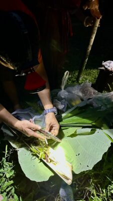 Khao Soki džunglitripp