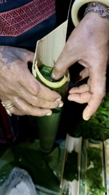 Khao Soki džunglitripp